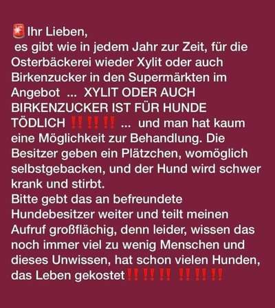 Blumenerde mit Xylit gefressen-Beitrag-Bild