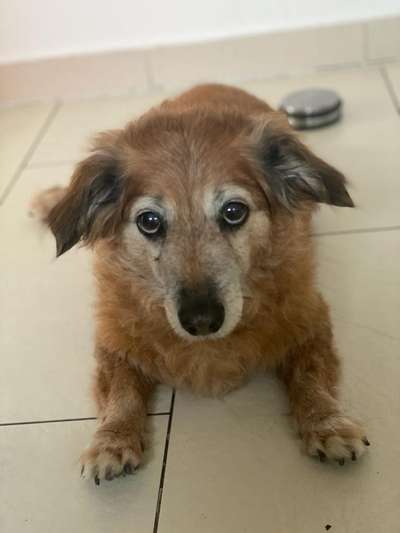 Fotochallenge Nr. 56 - geliebte Senioren-Beitrag-Bild