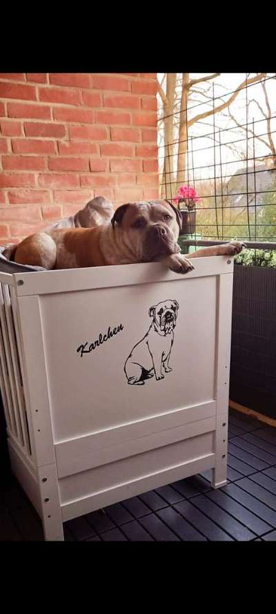 14. Farbenfoto-Challenge "Weiss"-Beitrag-Bild