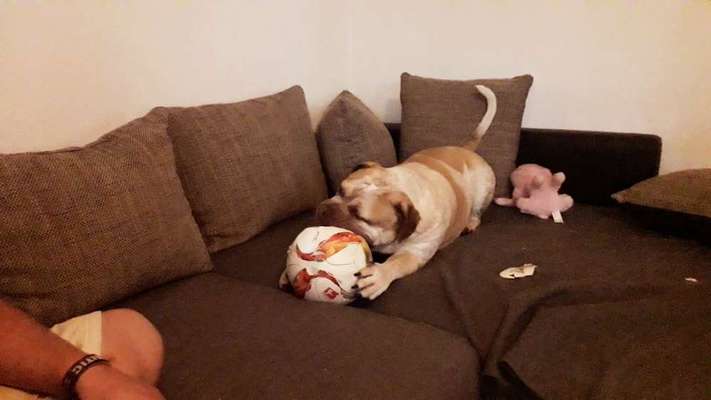 138. Fotochallenge 

(M)Ein Ball und ich-Beitrag-Bild