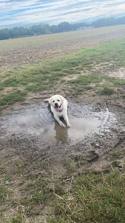 Dogorama-Monats-Challenge-Mai "Wasser"-Beitrag-Bild