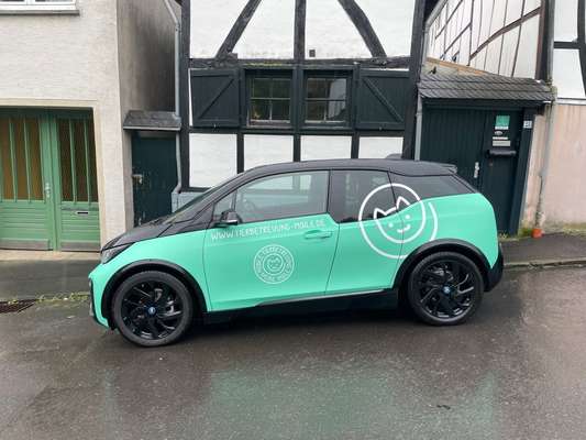 %{de_profession_title}-Tier-Taxi-Bild