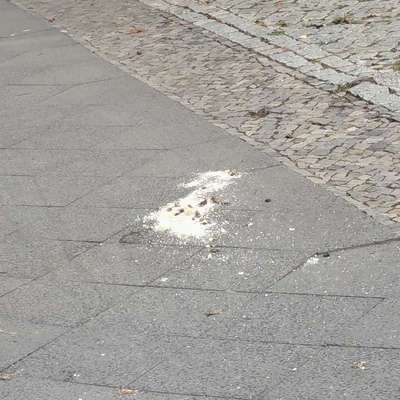 Giftköder-Helles Pulver-Bild