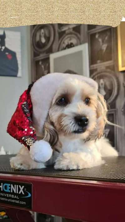 Pullis, Jacken, Hütte und alles sonstiges-Beitrag-Bild