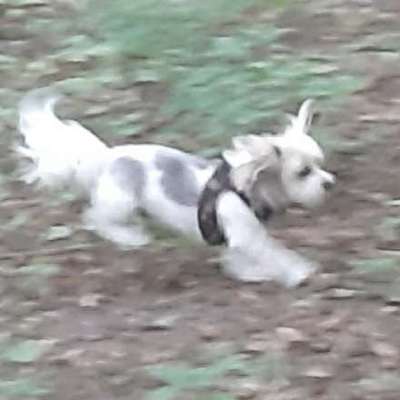 Un...scharf Bilder-Beitrag-Bild