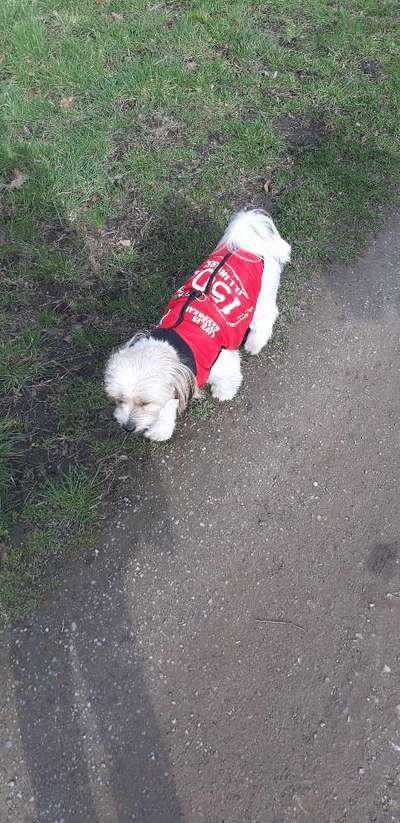 Pullis, Jacken, Hütte und alles sonstiges-Beitrag-Bild