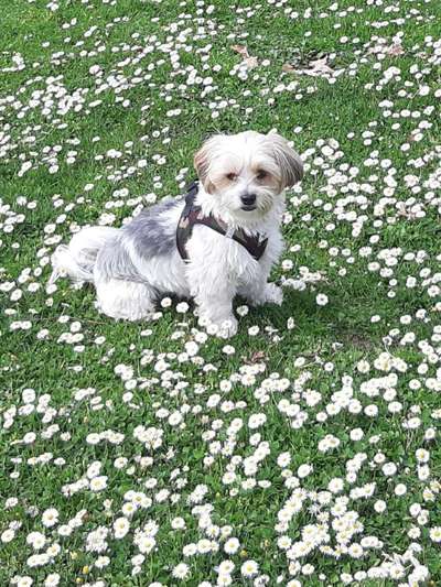 Fotochallenge 78

Es grünt und blüht-Beitrag-Bild