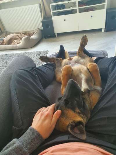 eure Spitznamen für die Vierbeiner-Beitrag-Bild