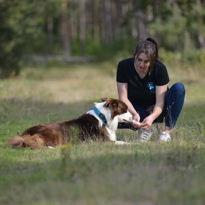 Hundeschulen-popcornpfote-Bild