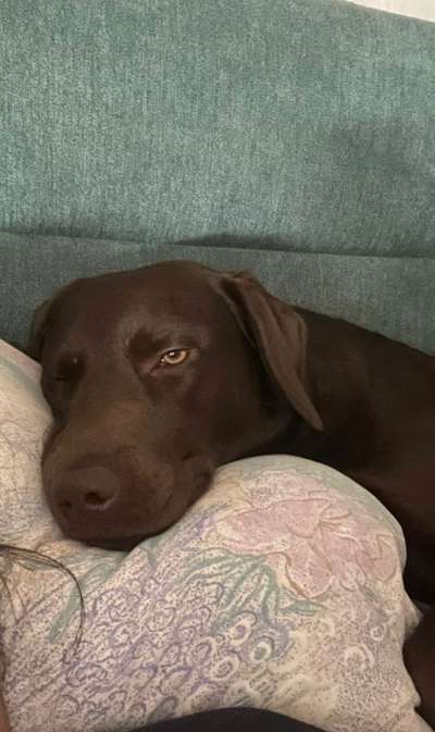 Depression meine's Labbis-Beitrag-Bild