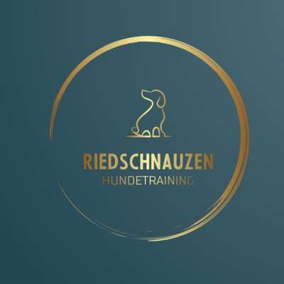 Hundeschulen-Riedschnauzen-Bild