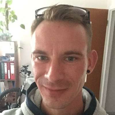 Hundetreffen-Gassirunde am Abend