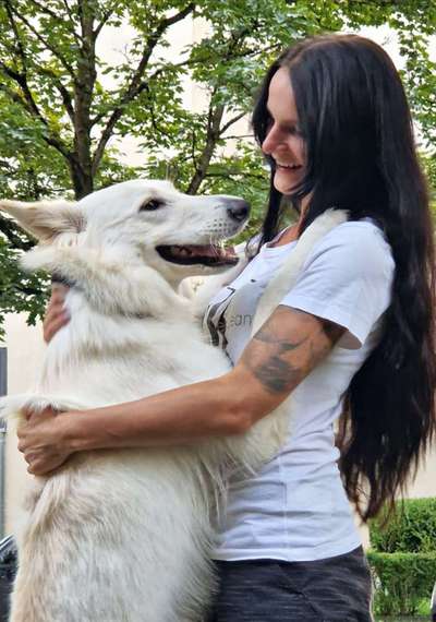 Weißer Schweizer Schäferhund-Beitrag-Bild