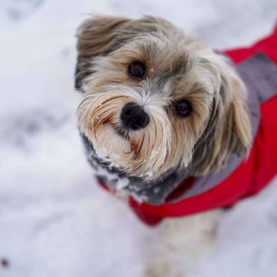 Fotochallange Nr. 57     PORTRÄT.   Beendet!!!!!!!!-Beitrag-Bild