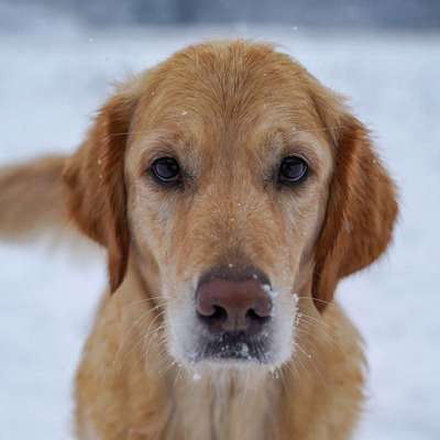 Fotochallange Nr. 57     PORTRÄT.   Beendet!!!!!!!!-Beitrag-Bild