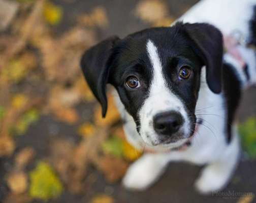 Fotochallange Nr. 57     PORTRÄT.   Beendet!!!!!!!!-Beitrag-Bild