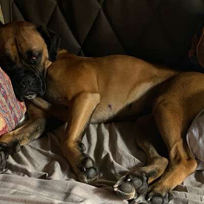 Natalie's Profilbild