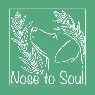 Hundeshops-Nose to Soul-Bild
