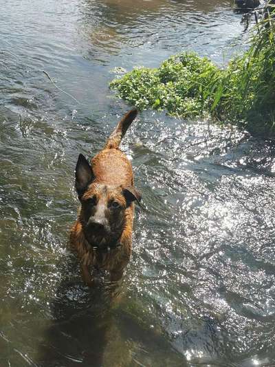 Foto Challenge - BEENDET - bitte aktuelle Challenge nutzen-Beitrag-Bild