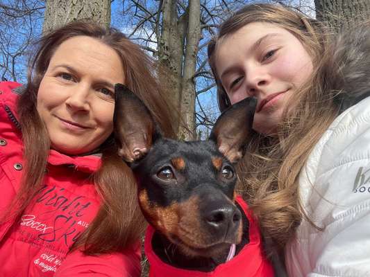 Urlaub mit Familie und Hund-Beitrag-Bild