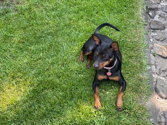 Kühldecke oder Kühlmatte ?-Beitrag-Bild