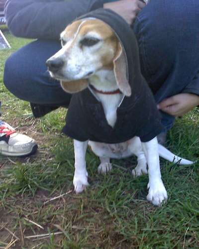 Fotochallenge Nr. 29 - Accessoires-Beitrag-Bild