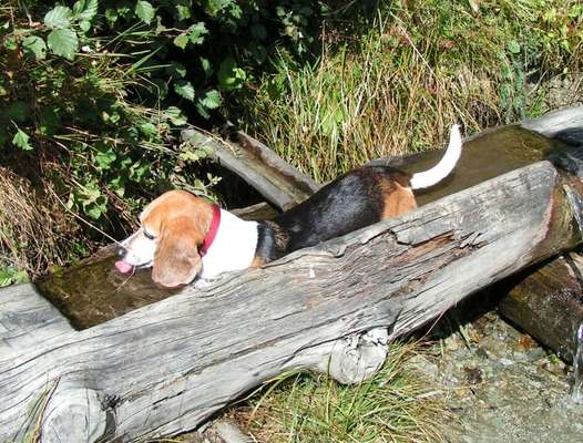 FOTOCHALLANGE NR.71 BADEFREUDE-Beitrag-Bild