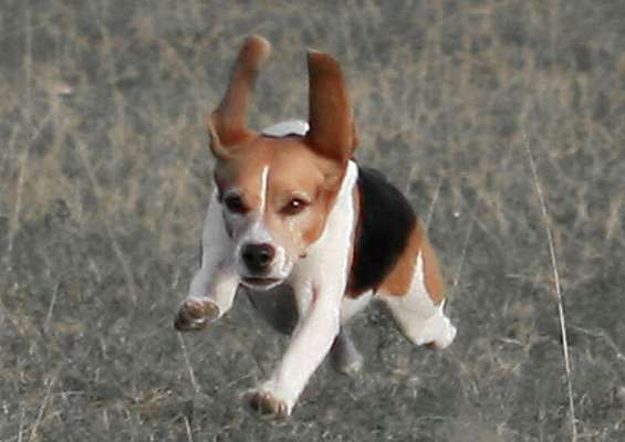 Fotochallenge No. 26                                     Wald und Wiese-Beitrag-Bild