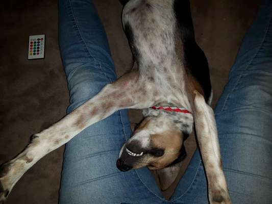 FOTO-Challenge  NR. 91: Die pure Entspannung-Beitrag-Bild