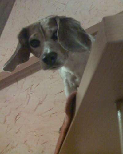 21. Handy-Foto-Challenge-Beitrag-Bild