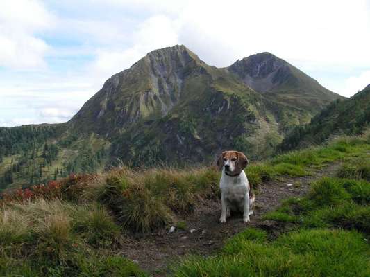 Fotochallenge Nr 107-Beitrag-Bild