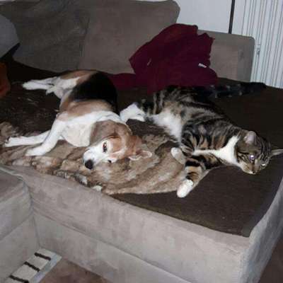 FOTO-Challenge  NR. 91: Die pure Entspannung-Beitrag-Bild