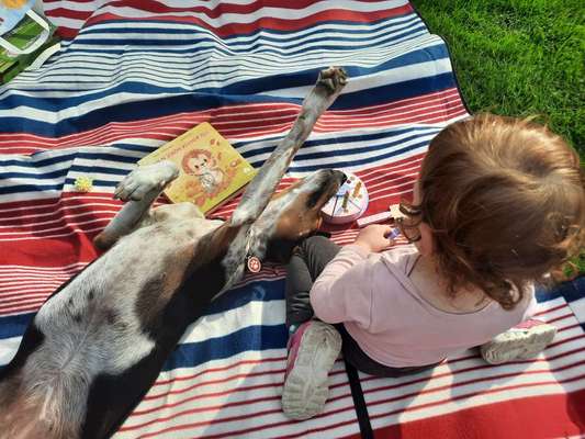 Fotochallenge Nr 96.: Bunt, Bunter, Hund 💐🌹🍁-Beitrag-Bild