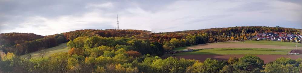 Hundeauslaufgebiet-Peterholz (Haarberg)-Bild