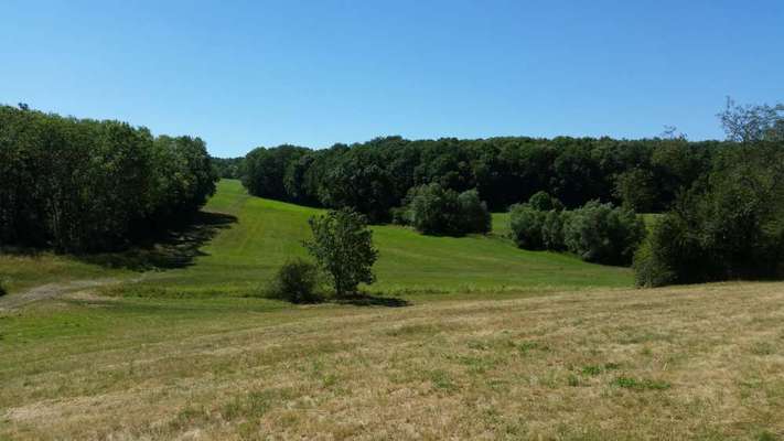 Hundeauslaufgebiet-Peterbachtal (Haarberg)-Bild