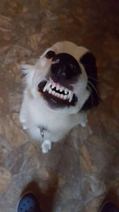 Handy-foto Challange nr. 11-Beitrag-Bild