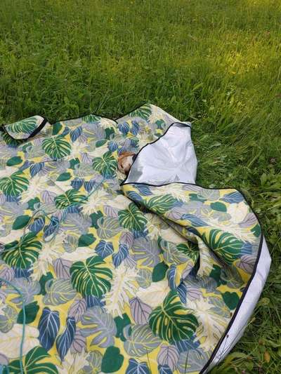 Die unbequemsten und lustigsten Schlafpositionen-Beitrag-Bild