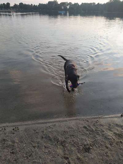 Eure schönsten Fotos mit Wasser-Beitrag-Bild