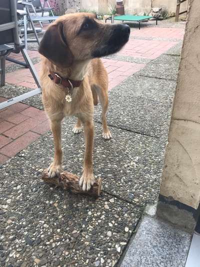 Blick fürs Detail!-Beitrag-Bild