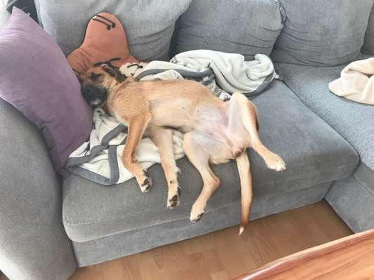 Fotochallenge Nr.65-Beitrag-Bild