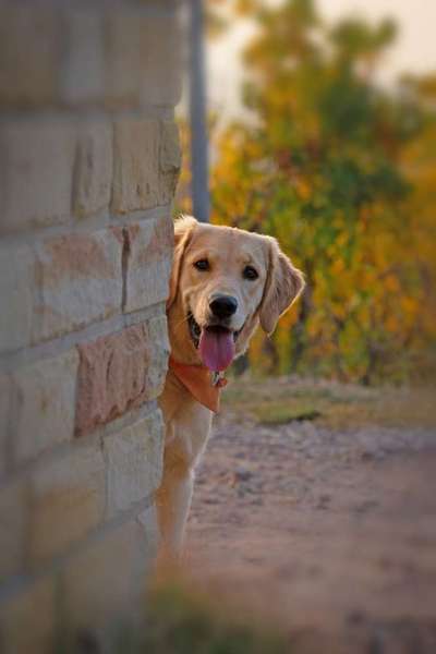 Fotochallange Nr. 57     PORTRÄT.   Beendet!!!!!!!!-Beitrag-Bild