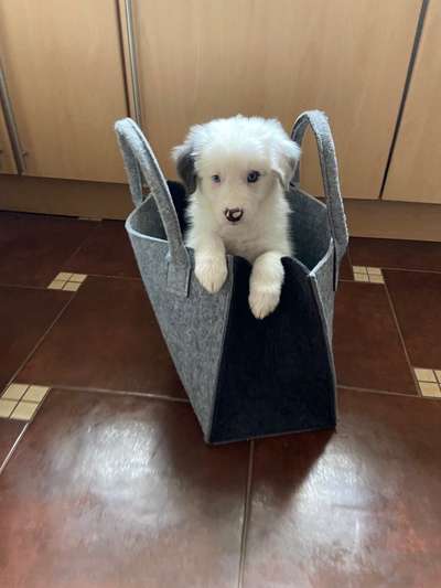 Lieblingsbild-Beitrag-Bild