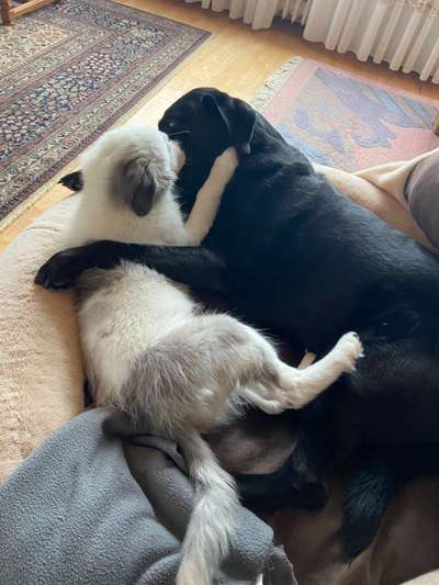 Lieblingsbild-Beitrag-Bild