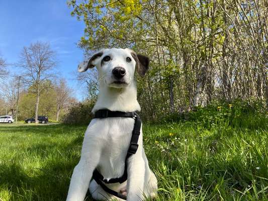Fotowettbewerb Natur-Beitrag-Bild