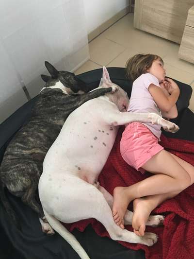 Die unbequemsten und lustigsten Schlafpositionen-Beitrag-Bild