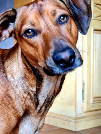 Lieblingsbild :D-Beitrag-Bild