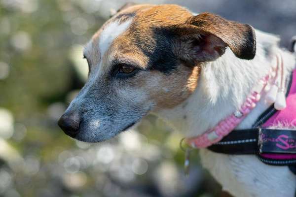 28. Farben Foto Challenge * BEIGE *-Beitrag-Bild