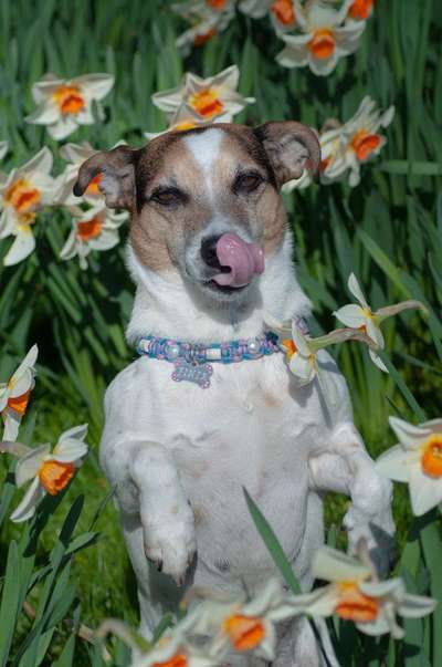 Fotowettbewerb Natur-Beitrag-Bild