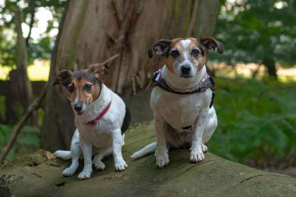 Fotochallenge 130-Beitrag-Bild