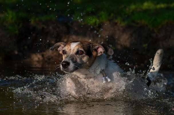 29. Farben Foto Challenge -
Silber glänzend.-Beitrag-Bild